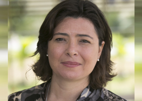 Zoetis promove ciclo de palestras sobre sanidade avícola em novembro