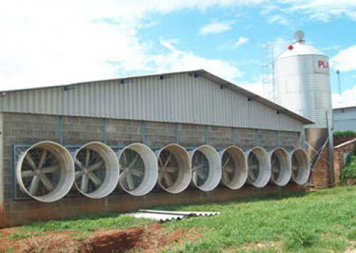 Facta realiza em Recife curso de ambiência e bem-estar na avicultura 