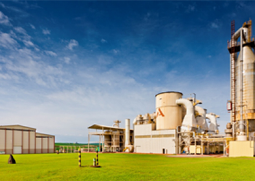 Alltech cresce 180% em 2015 e projeta faturamento de U$S 4 bilhões