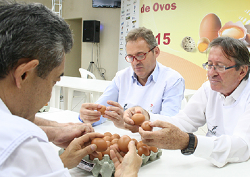Foi nomeada a comissão organizadora do Concurso de Qualidade de Ovos 2016