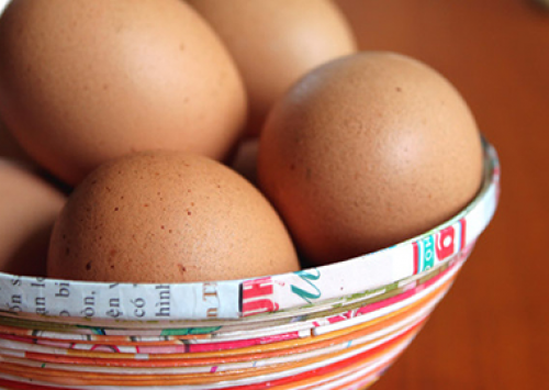 Brasil se torna principal fornecedor de ovos para o Japão