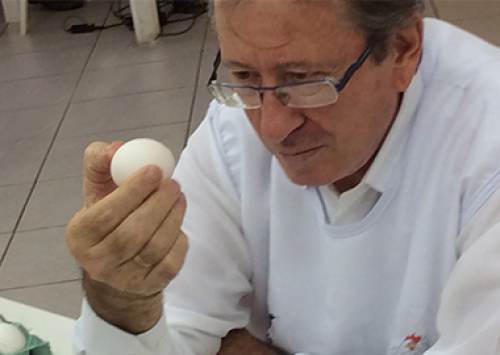 Concurso de Qualidade de Ovos de Bastos divulga regulamento para 2016