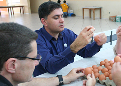 Concurso de Qualidade de Ovos de Bastos tem mudanças na comissão julgadora