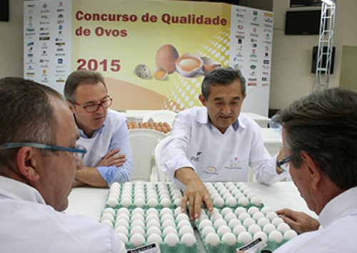 Concurso de Qualidade de Ovos de Bastos começa hoje às 13 horas