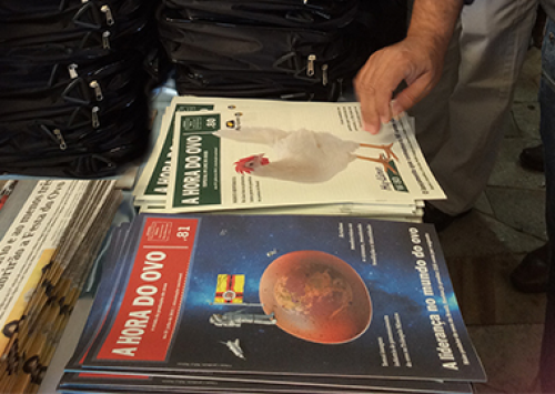 A Hora do Ovo chega à edição 81 com o melhor da postura brasileira