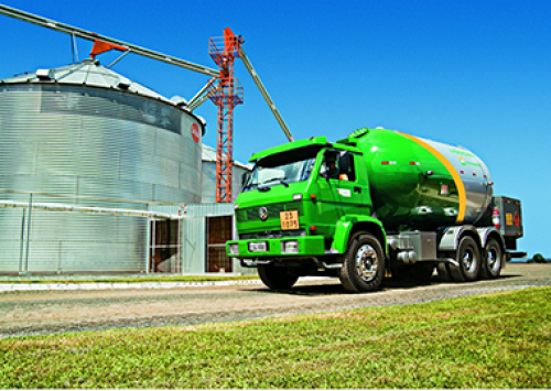 GLP é alternativa eficiente para aquecimento de aviários