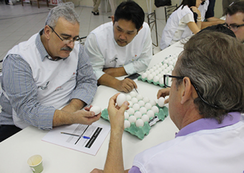 Concurso de Qualidade de Ovos de Bastos mostra sua evolução