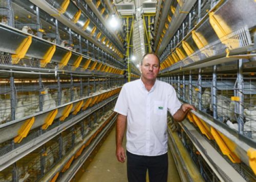 Avicultores assinam contrato do 1º Condomínio Avícola no Espírito Santo