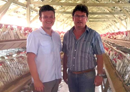 Ovos Bampi faz treinamento em vacinação e manejo de produtos biológicos