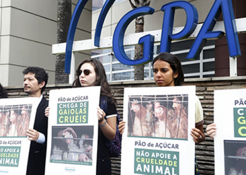 Varejistas brasileiros já convivem com exigências do bem-estar animal