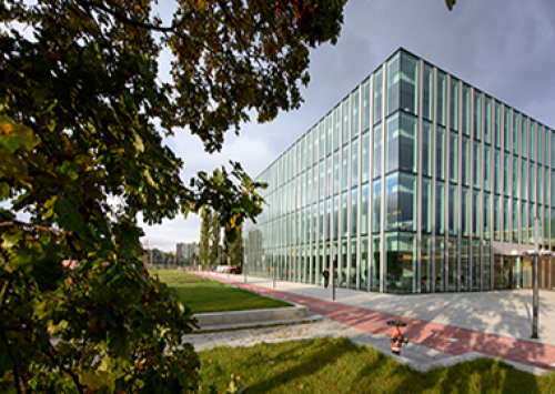 DSM e Evonik se unem na joint venture Veramaris 