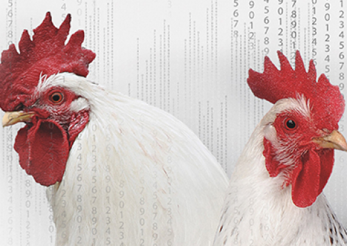 FACTA prorroga até 6 de abril inscrições para Prêmio Lamas 2018 