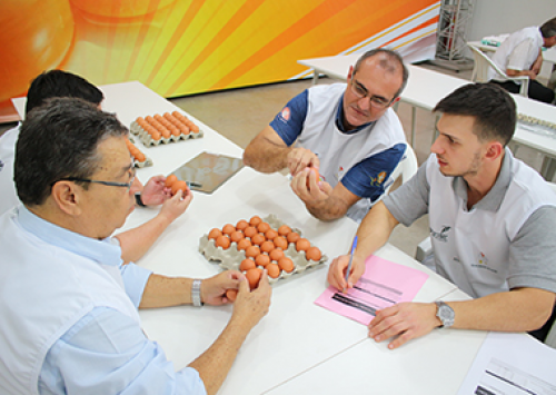 Concurso de Qualidade de Ovos de Bastos anuncia comissão organizadora