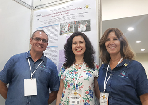 Pesquisadores do IZ e professora da Unesp são premiados no Congresso da APA