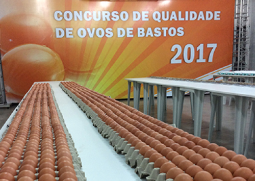 Bastos divulga o Regulamento do Concurso de Qualidade de Ovos 2018