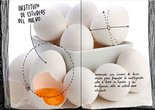 Instituto de Estudos do Ovo premia com 10.000 euros trabalhos sobre ovos