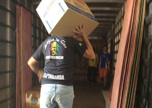 Situação começa a voltar ao normal na avicultura, aponta ABPA