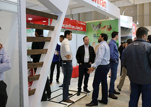 Organizadores comemoram resultados positivos da Avesui 2018