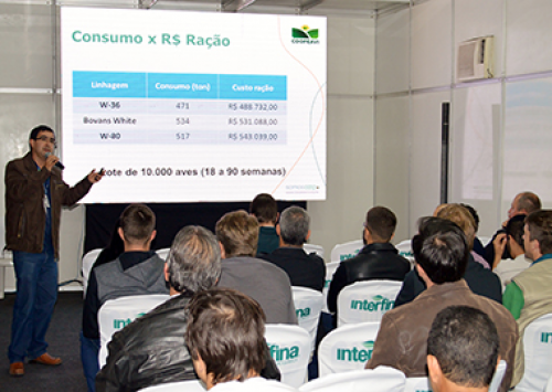 Qualificaves apresenta comparativo de linhagens na avicultura de postura