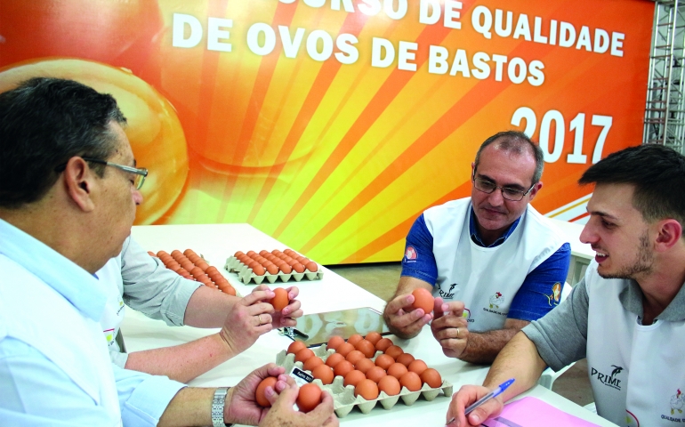 Concurso de Qualidade de Ovos de Bastos está atuante há mais de 50 anos