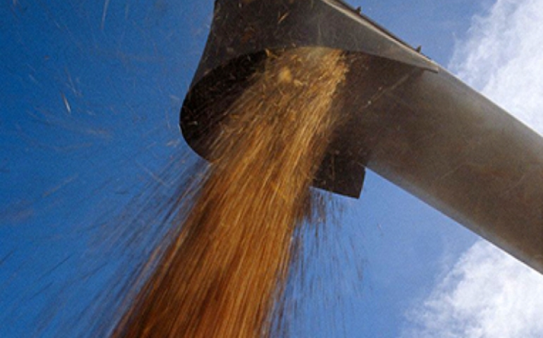 Os quatro temas que ainda assolam o agronegócio brasileiro