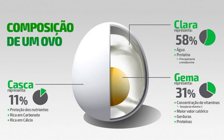 Qualidades do ovo ganham destaque em revista de saúde do Paraná