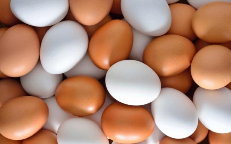Oferta de ovos diminui e preços voltam a subir no mercado interno