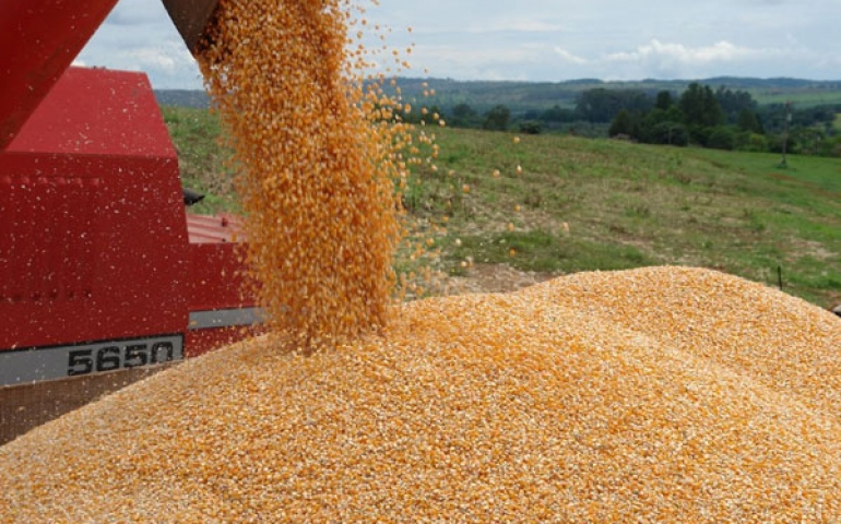 IBGE prevê em 2019 safra de grãos 0,2% menor que a de 2018