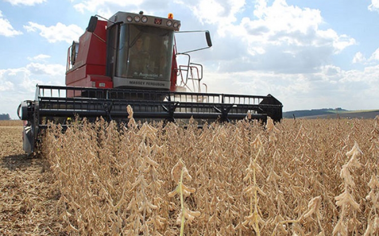 Brasil tem oportunidade de atender à demanda mundial de soja, que dobrará até 2050