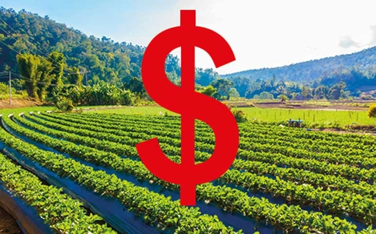 O agronegócio pode movimentar um trilhão de dólares em 2024