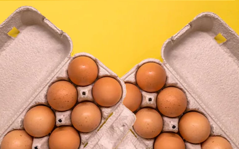 Produção de ovos recorde impacta negativamente o setor em 2018
