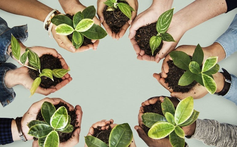 Cooperativas crescem e colaboram com o avanço do agronegócio