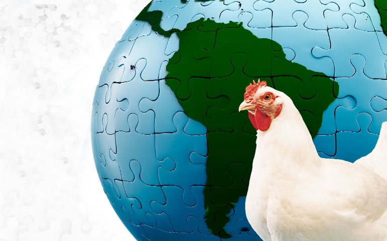 Conferência Facta debate missão da avicultura brasileira em alimentar o mundo