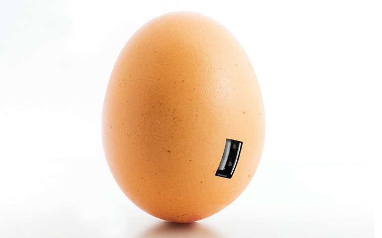 Os impactos da Newcastle e a Vectormune ND