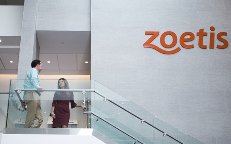 Zoetis divulga faturamento de US$5,8 bilhões em 2018