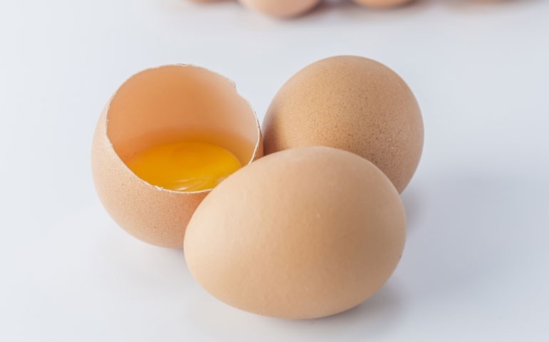 Blog de O Globo relembra estudo que desmistificou o ovo