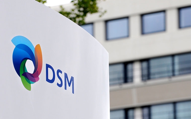 DSM cresce em vendas globais e na AL