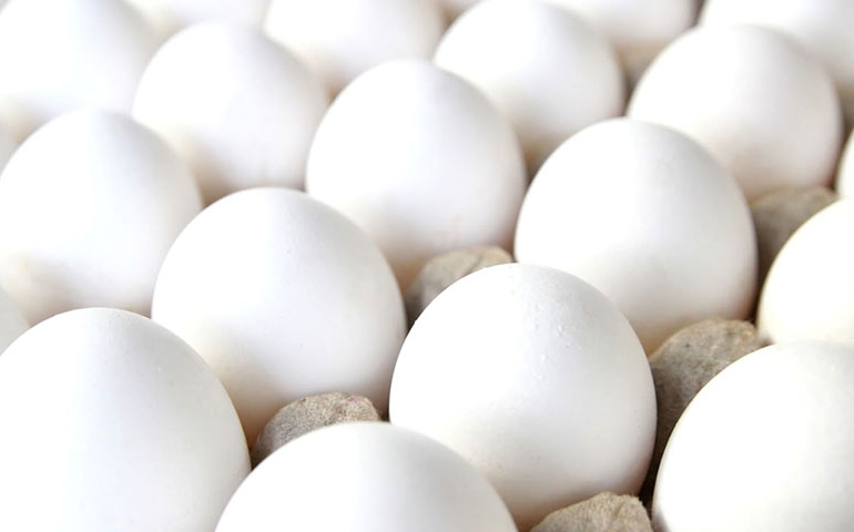 Oferta reduzida garante preços melhores para o ovo em fevereiro