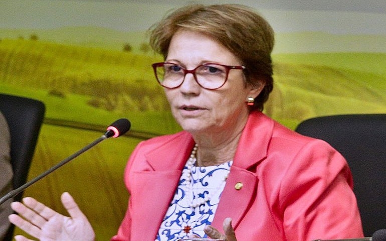 Tereza Cristina diz que ministério manterá bom relacionamento com países árabes