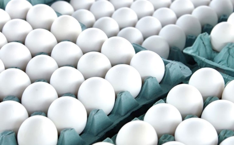 Início de mês e Semana Santa elevam cotações do ovo