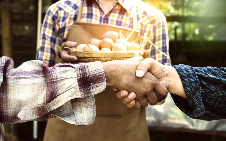 Wisium lança projeto que ajuda o avicultor a aumentar sua rentabilidade