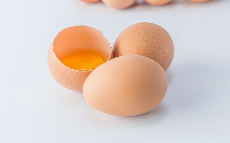 Blog da Lucia Helena fala sobre o ovo e suas maravilhas