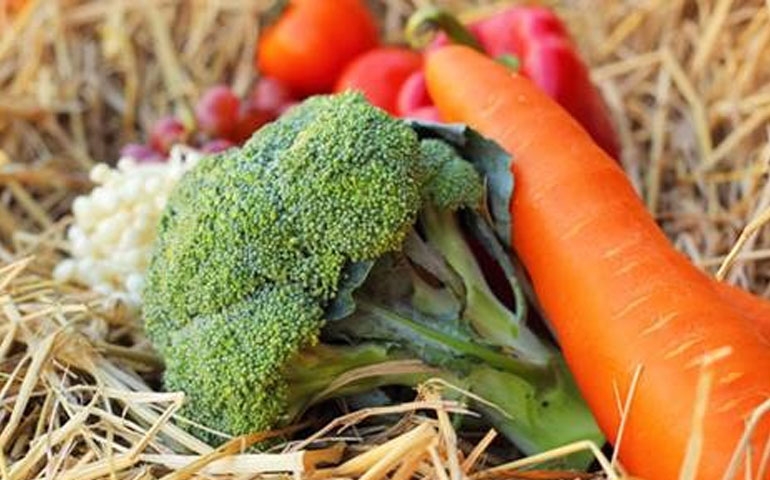 China produz e consome vegetais produzidos em vinil house