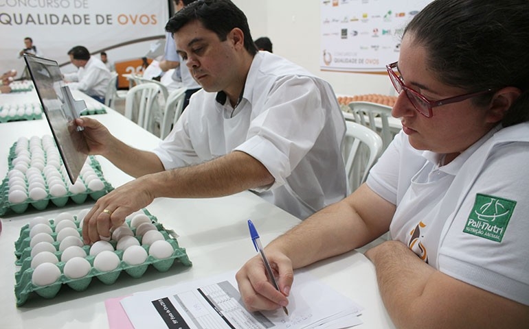 Concurso de Qualidade de Ovos de Bastos divulga regulamento de 2019