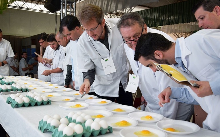 Concursos de Qualidade de Ovos acontecem na 5ª. Favesu