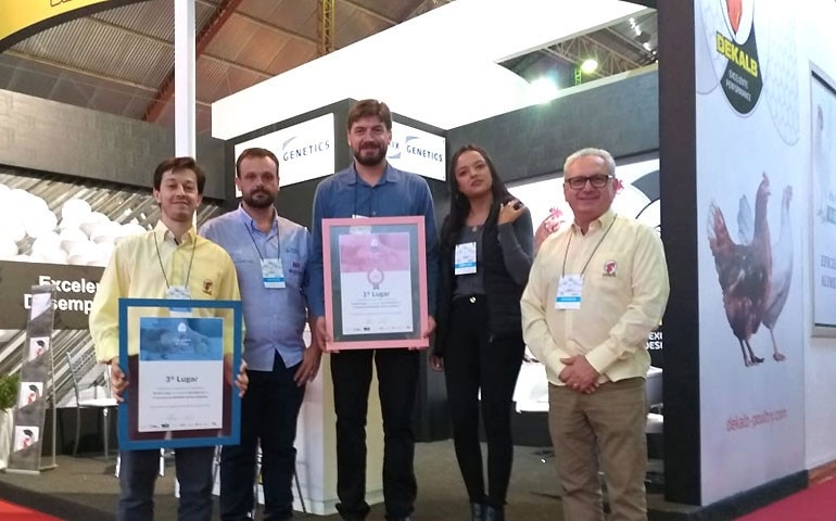 Aves Hendrix são as campeãs do Concurso de Qualidade de Ovos Capixaba