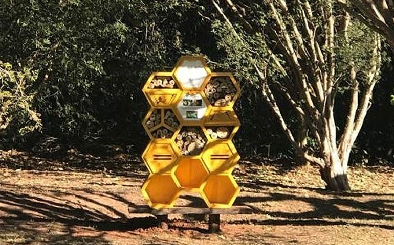Fazenda em Tabapuã (SP) inaugura primeiro 'hotel' para abelhas do noroeste paulista