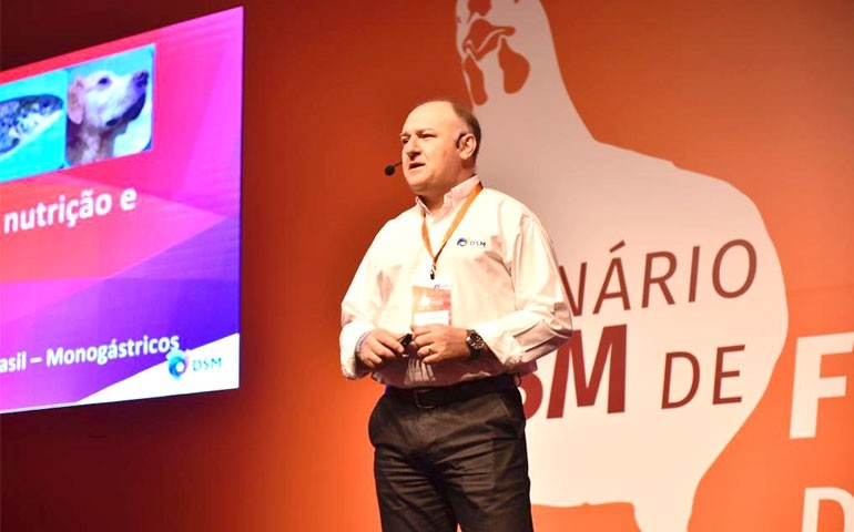 Seminário DSM de Frango de Corte debate soluções para rentabilidade e qualidade