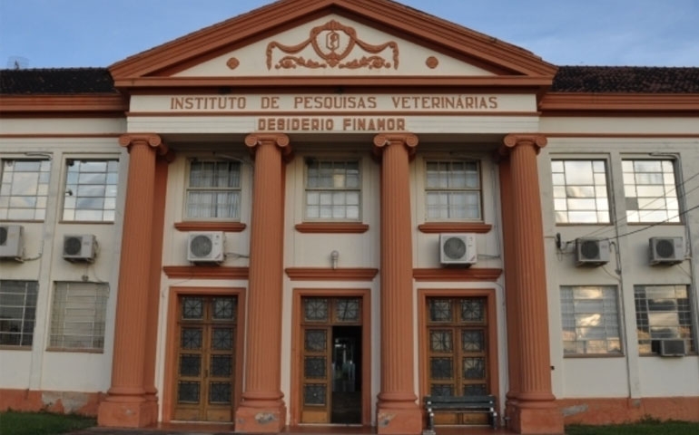 IPVDF realiza seu primeiro Dia do Ovo no Rio Grande do Sul