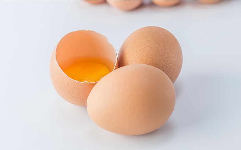 Crescem exportações de ovos em outubro, indicam análises do Cepea